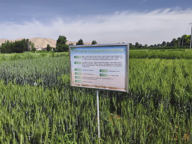 ��朡��ϰl����������C �m��ţ�������~��ǧ�|Ԫ������